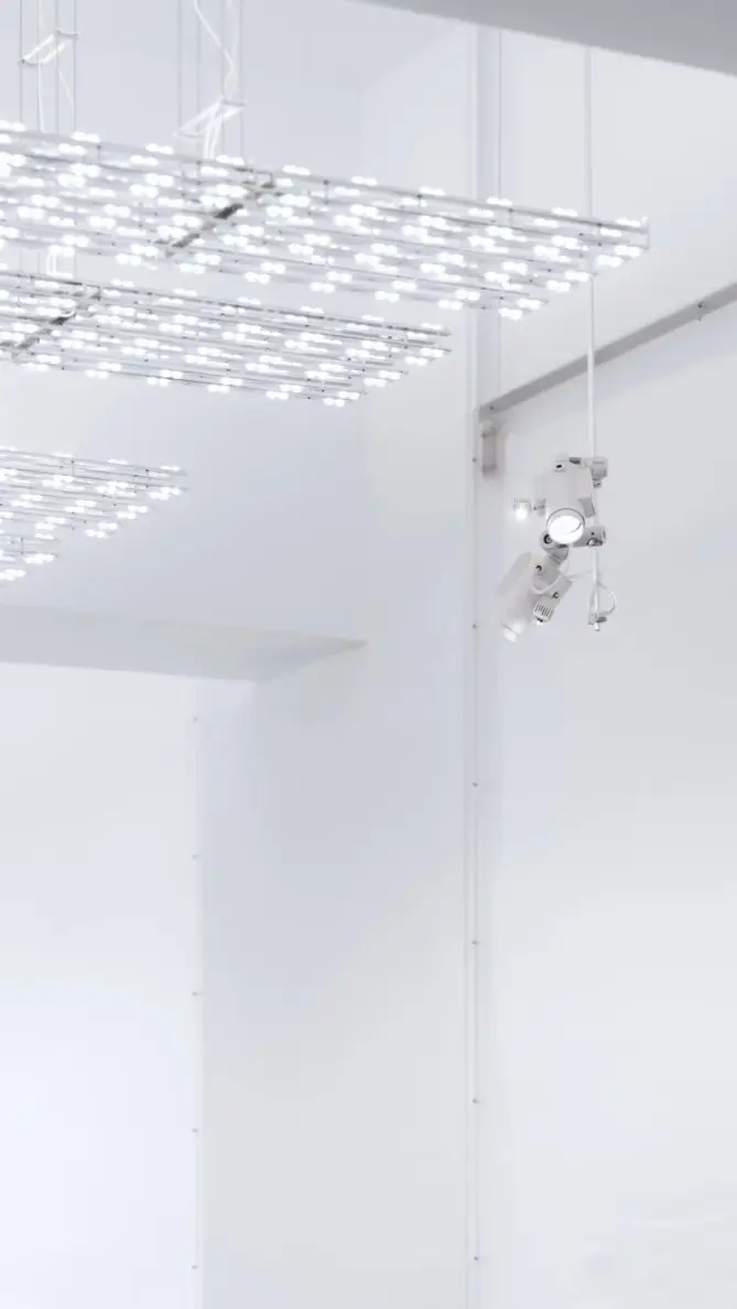 Paloma Wool x Rauric — PW — imagen 1