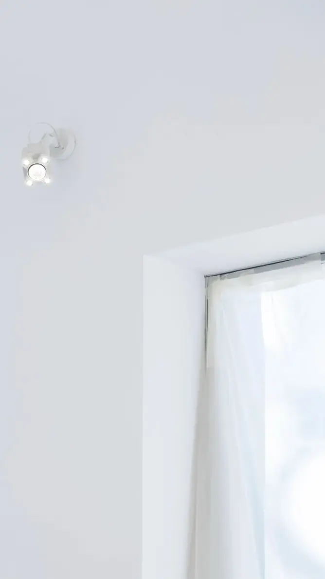 Paloma Wool x Rauric — PW — imagen 2